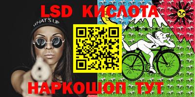 твердый Камышлов