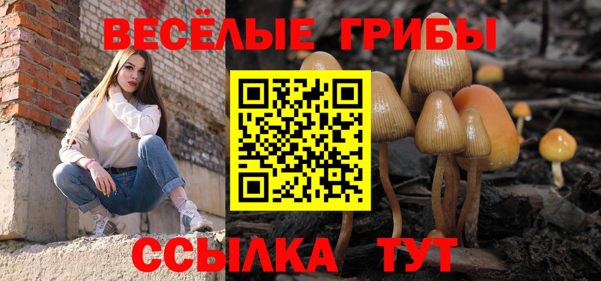 Кыштым  Галлюциногенные грибы Psilocybine cubensis  Вход с VPN 