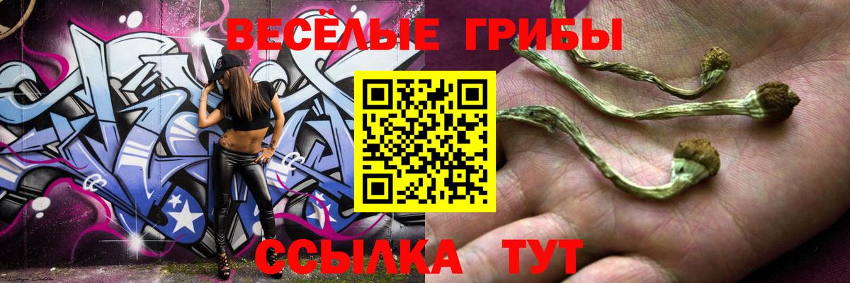 Псилоцибиновые грибы Cubensis Кыштым